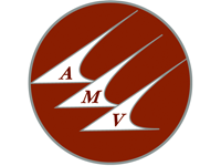 AMV - American Management of Virginia, Inc.